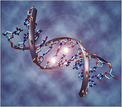 Genes operam de forma rtmica, seguindo o relgio biolgico
