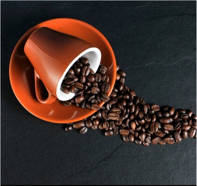 Dois compostos do caf juntam-se para combater doena de Parkinson