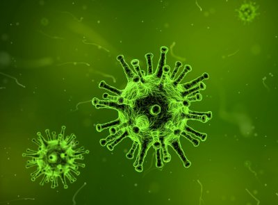 Monitorar as mutaes do vrus da gripe envolve esforo internacional