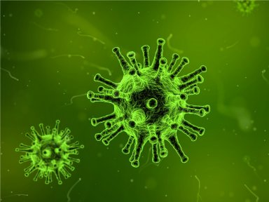 Primeira gripe determina capacidade de reao pelo resto da vida