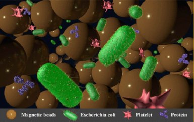 Microlaboratrio detecta superbactrias em fluidos humanos