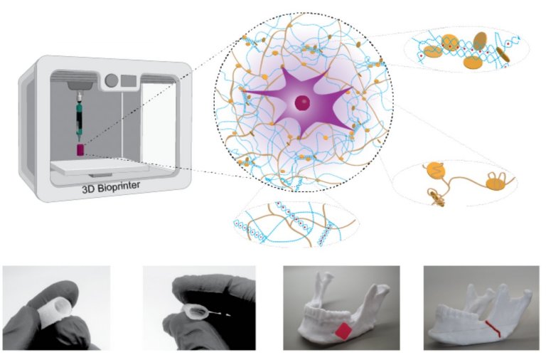 Implantes sseos impressos em 3D prontos para testes
