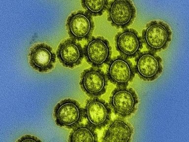 H3N2 Darwin: Cepa do vrus influenza causa gripe fora de poca no pas
