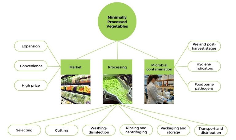 Vegetais prontos para consumo vendidos nos supermercados podem conter bactrias