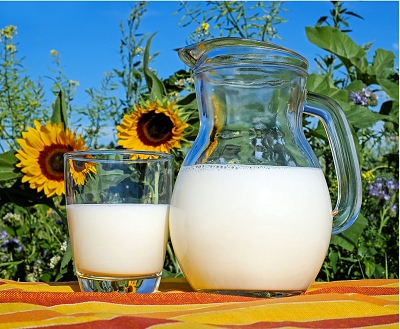 Qual  o melhor leite de origem vegetal?