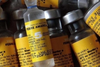 Brasil voltar a exportar vacina contra febre amarela
