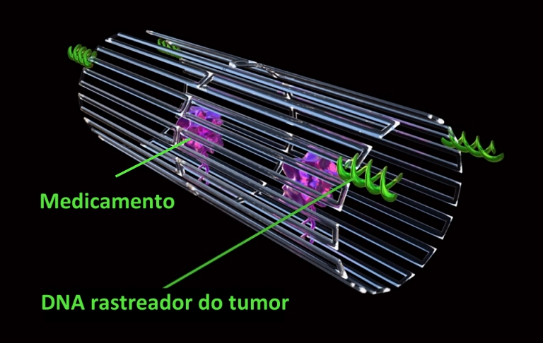 Nanorrobs caam e destroem tumores em animais