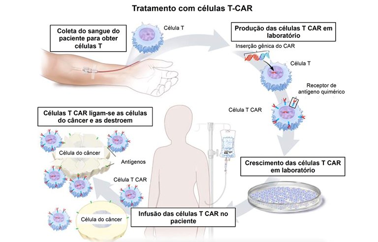 Pesquisadores brasileiros reduzem custo de tratamento inovador contra o cncer