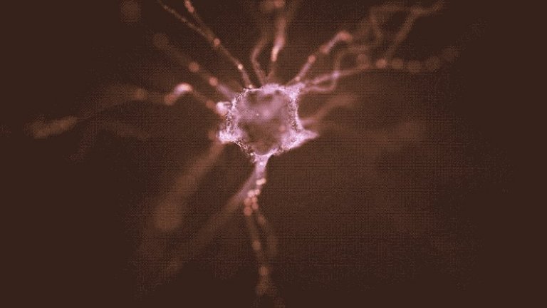 Neurnios cultivados em laboratrio so nova esperana contra doena de Parkinson
