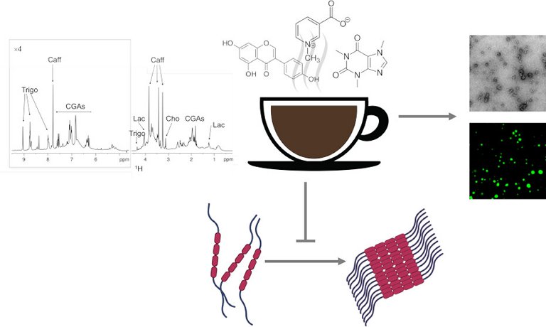 Compostos do caf expresso previnem aglomerao de protenas ligados ao Alzheimer