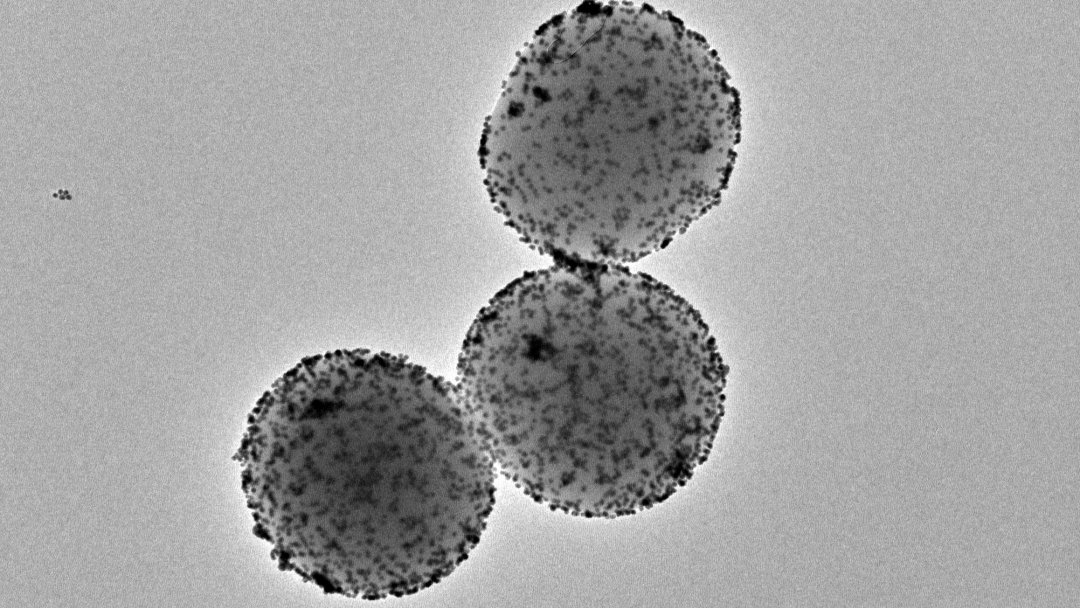 Nanorrobs reduzem tumores de bexiga em 90%
