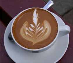 Caf tem protena com efeito similar ao da morfina