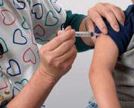 Idade compromete sistema imune e reduz eficcia de vacinas