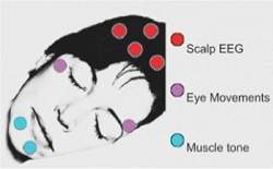 Regies do crebro ligam e desligam durante o sono