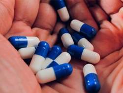 A busca por medicamentos contra doenas de pouco interesse comercial