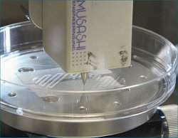 Minirgos em biochip substituem animais em testes de medicamentos