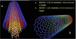 Nanotubos de carbono so bons para a tecnologia, no para voc