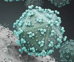 Polmero sinttico impede que HIV entre nas clulas