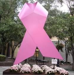 Cientistas defendem mudanas nas orientaes sobre mamografia para preveno do cncer de mama