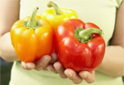 Cinco legumes e verduras que voc pode cultivar em casa