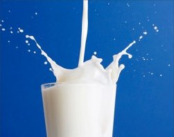 Protena do soro de leite protege intestino contra dieta gordurosa
