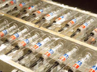 Instituto Butantan vai produzir vacina contra gripe do Hemisfrio Norte