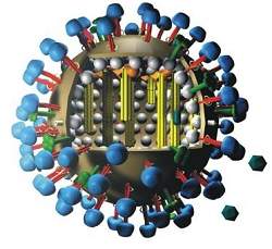 Aprovada proposta brasileira de compartilhamento de dados do vrus H1N1