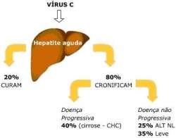 Contaminao por vrus da hepatite C depende das redes sociais