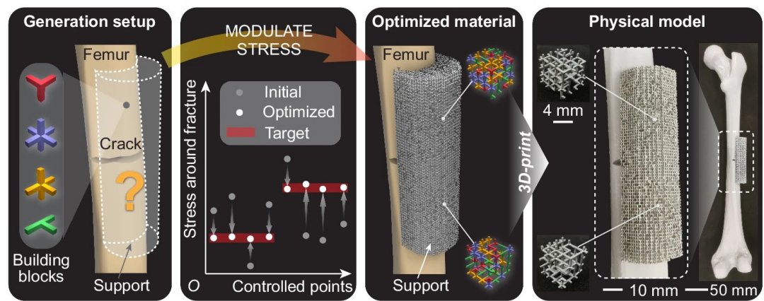 Material biomimtico programvel ajuda a curar ossos quebrados