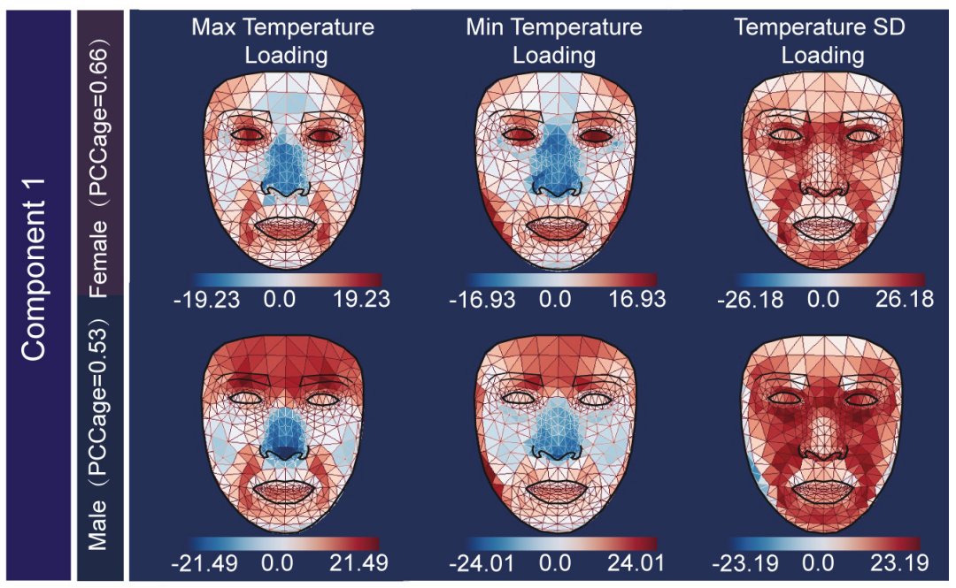 A temperatura do seu rosto diz muito sobre sua idade e sua saúde