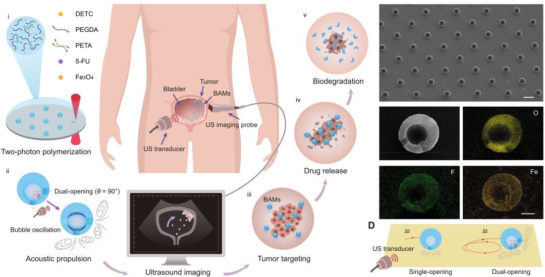 Microrrobs levam medicamento e curam cncer melhor que quimioterapia